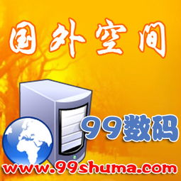 專業(yè)成都網(wǎng)站建設(shè)與數(shù)字內(nèi)容制作服務(wù)——99數(shù)碼為您提供高性價(jià)比解決方案